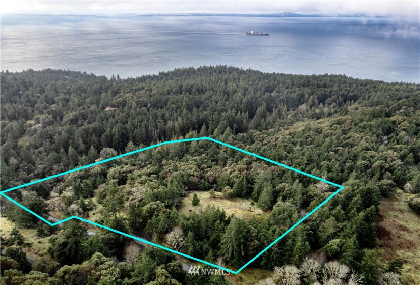 0 Mt. Dallas, San Juan Island, Washington 98250, ,Land,For Sale,Manfred C. Vernon,Mt. Dallas,NWM1883361