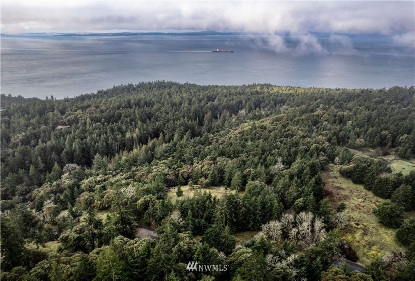 0 Mt. Dallas, San Juan Island, Washington 98250, ,Land,For Sale,Manfred C. Vernon,Mt. Dallas,NWM1883361