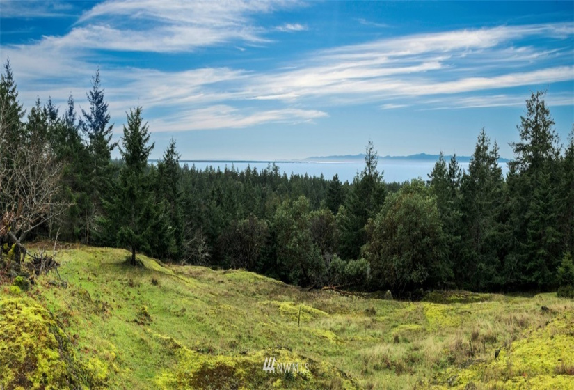 0 Mt. Dallas, San Juan Island, Washington 98250, ,Land,For Sale,Manfred C. Vernon,Mt. Dallas,NWM1883361