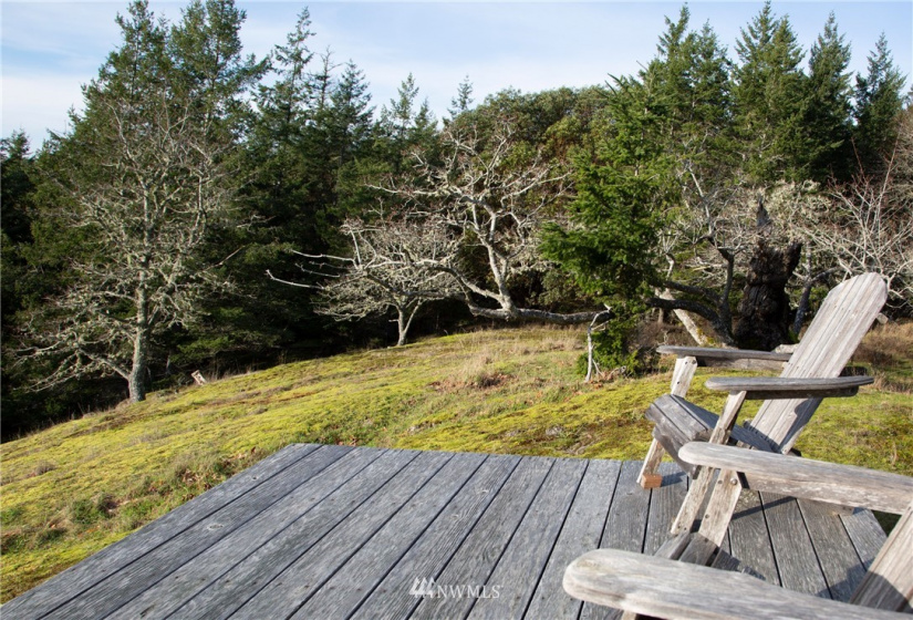 0 Mt. Dallas, San Juan Island, Washington 98250, ,Land,For Sale,Manfred C. Vernon,Mt. Dallas,NWM1883361