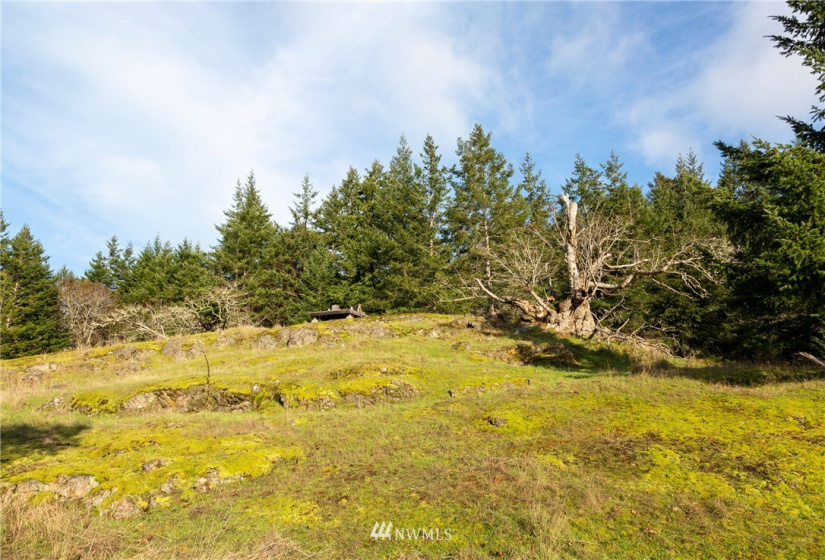 0 Mt. Dallas, San Juan Island, Washington 98250, ,Land,For Sale,Manfred C. Vernon,Mt. Dallas,NWM1883361