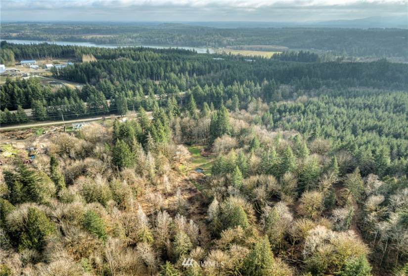 691 Kamilche, Shelton, Washington 98584, 3 Bedrooms Bedrooms, ,1 BathroomBathrooms,Residential,For Sale,Kamilche,NWM1883002