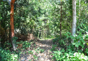 1810 Windermere, Bremerton, Washington 98310, ,Land,For Sale,Windermere,NWM1881697