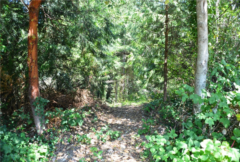 1810 Windermere, Bremerton, Washington 98310, ,Land,For Sale,Windermere,NWM1881697