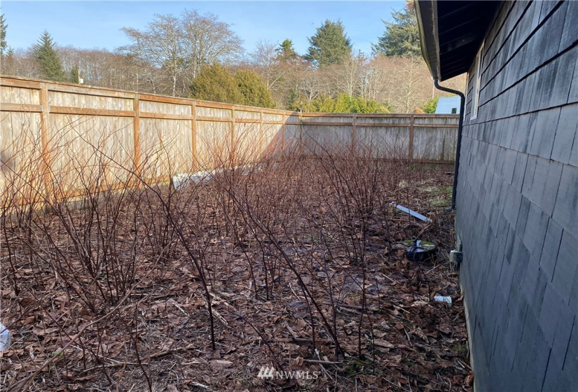 4 Memory, Ocean Shores, Washington 98569, 1 Bedroom Bedrooms, ,Residential,For Sale,Memory,NWM1880949