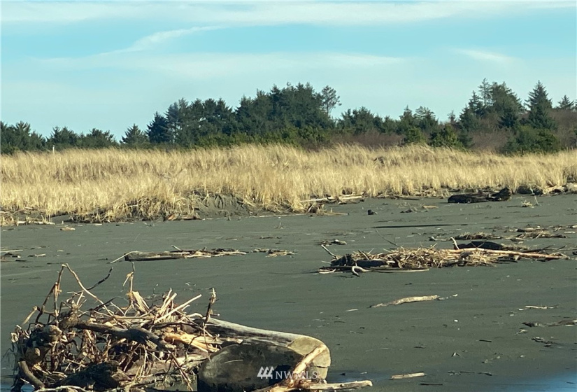 4 Memory, Ocean Shores, Washington 98569, 1 Bedroom Bedrooms, ,Residential,For Sale,Memory,NWM1880949