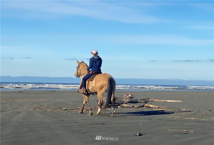 4 Memory, Ocean Shores, Washington 98569, 1 Bedroom Bedrooms, ,Residential,For Sale,Memory,NWM1880949