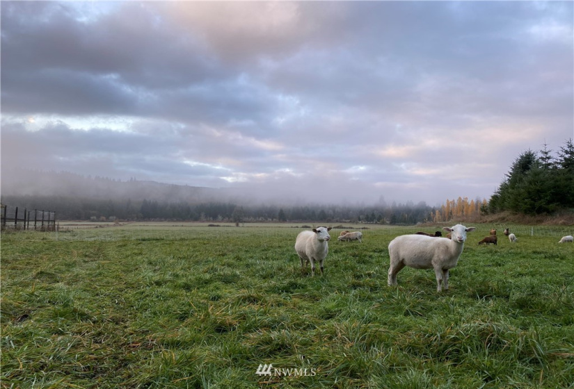 4 Memory, Ocean Shores, Washington 98569, 1 Bedroom Bedrooms, ,Residential,For Sale,Memory,NWM1880949