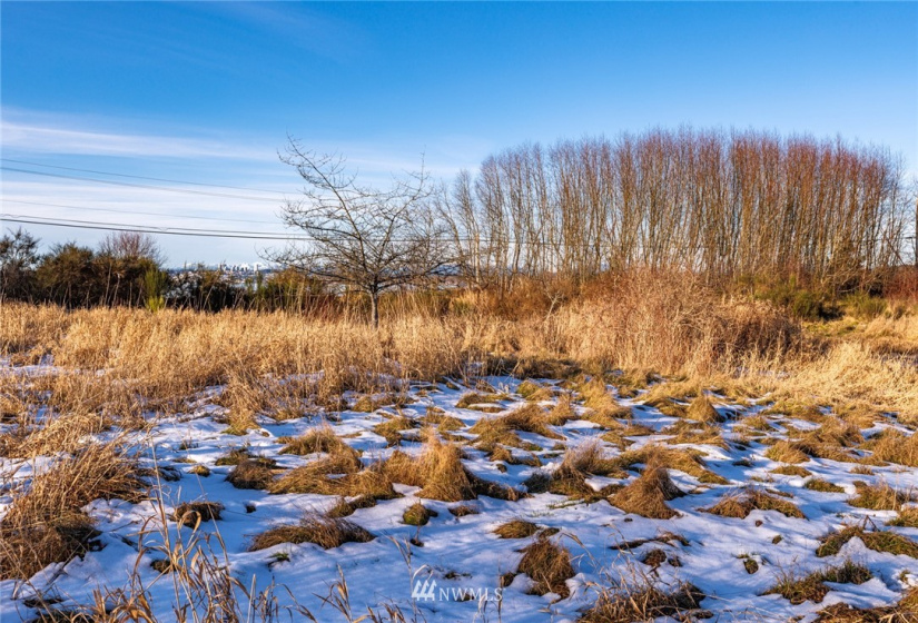 4775 Drayton Harbor, Blaine, Washington 98230, ,Land,For Sale,Tacoma Add To Blaine,Drayton Harbor,NWM1877291