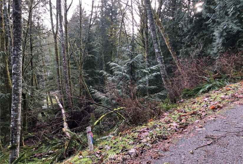 23 Rose Ridge, Bellingham, Washington 98229, ,Land,For Sale,Sudden Valley,Rose Ridge,NWM1883453