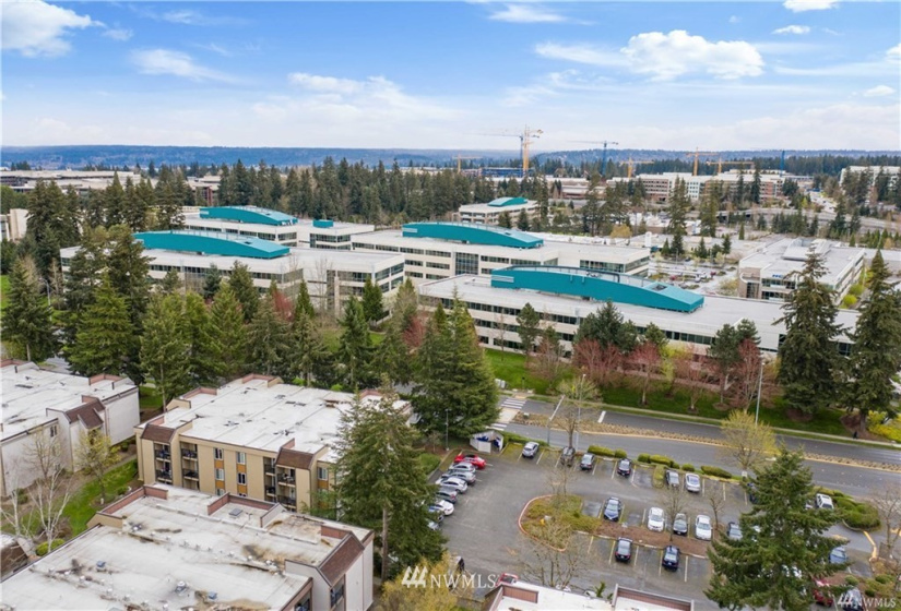 14665 34th, Bellevue, Washington 98007, 1 Bedroom Bedrooms, ,1 BathroomBathrooms,Residential,For Sale,Bellevue Manor,34th,NWM1882579