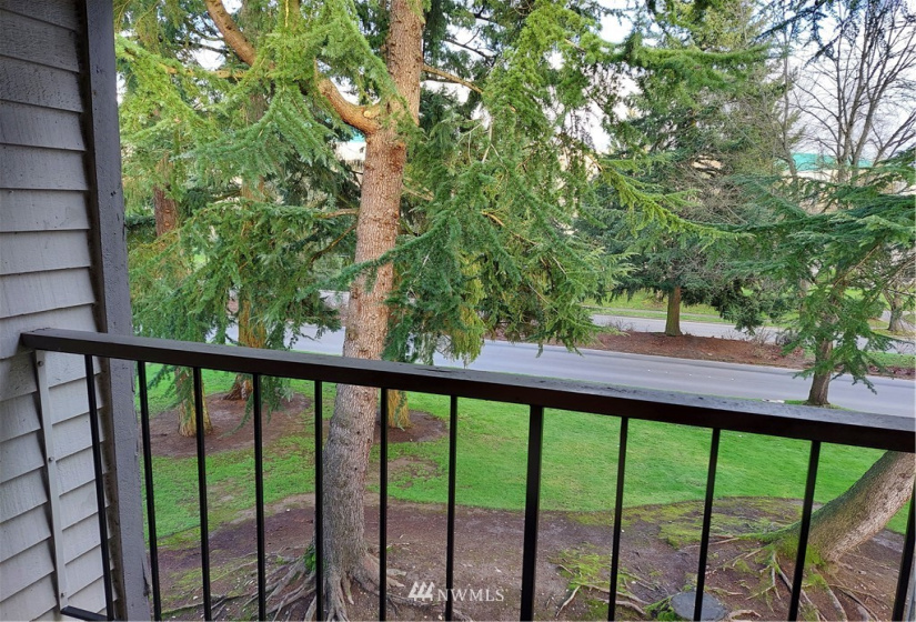 14665 34th, Bellevue, Washington 98007, 1 Bedroom Bedrooms, ,1 BathroomBathrooms,Residential,For Sale,Bellevue Manor,34th,NWM1882579