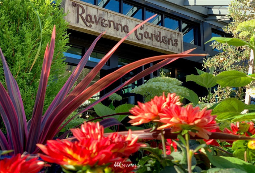 6550 Ravenna, Seattle, Washington 98115, 3 Bedrooms Bedrooms, ,1 BathroomBathrooms,Residential,For Sale,The Winston at Ravenna,Ravenna,NWM1881637