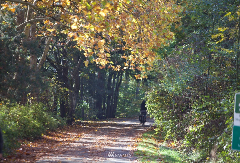 6550 Ravenna, Seattle, Washington 98115, 3 Bedrooms Bedrooms, ,1 BathroomBathrooms,Residential,For Sale,The Winston at Ravenna,Ravenna,NWM1881637