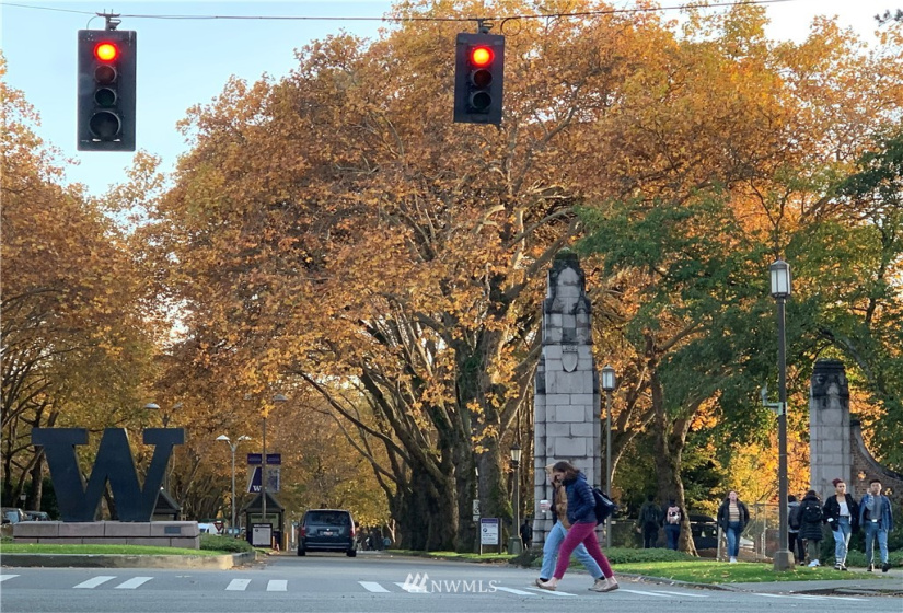 6550 Ravenna, Seattle, Washington 98115, 3 Bedrooms Bedrooms, ,1 BathroomBathrooms,Residential,For Sale,The Winston at Ravenna,Ravenna,NWM1881637