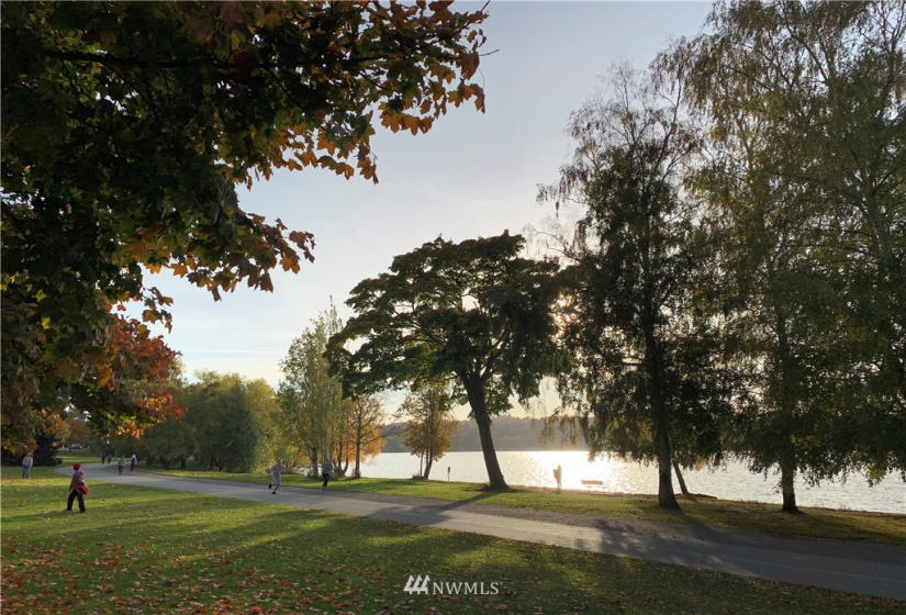 6560 Ravenna, Seattle, Washington 98115, 2 Bedrooms Bedrooms, ,Residential,For Sale,The Winston at Ravenna,Ravenna,NWM1883530