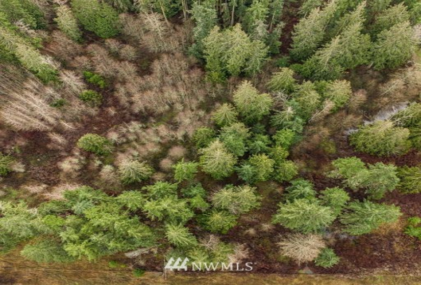 0 Lot 2 Pinnell, Sequim, Washington 98382, ,Land,For Sale,Miller BLA Survey,Lot 2 Pinnell,NWM1876819