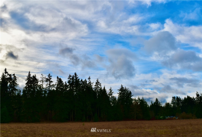0 Lot 2 Pinnell, Sequim, Washington 98382, ,Land,For Sale,Miller BLA Survey,Lot 2 Pinnell,NWM1876819