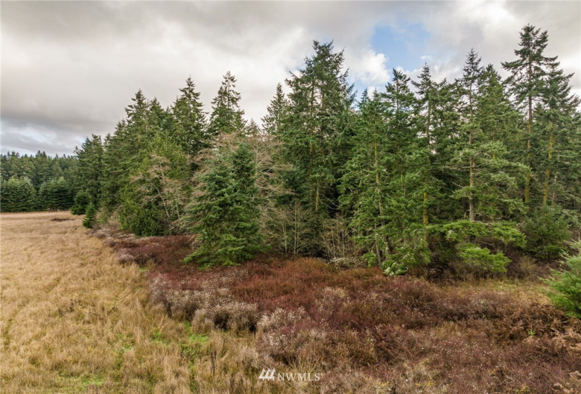 0 Lot 2 Pinnell, Sequim, Washington 98382, ,Land,For Sale,Miller BLA Survey,Lot 2 Pinnell,NWM1876819