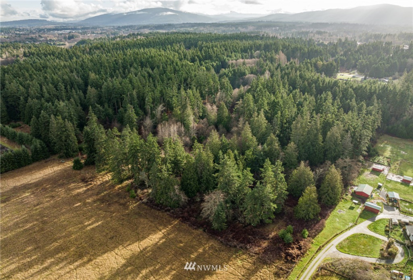0 Lot 2 Pinnell, Sequim, Washington 98382, ,Land,For Sale,Miller BLA Survey,Lot 2 Pinnell,NWM1876819