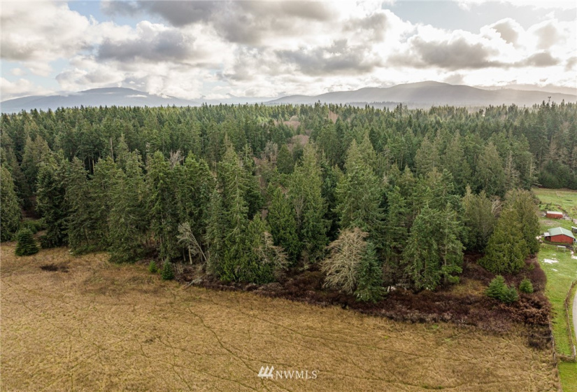 0 Lot 2 Pinnell, Sequim, Washington 98382, ,Land,For Sale,Miller BLA Survey,Lot 2 Pinnell,NWM1876819