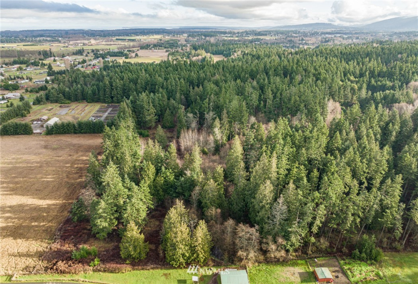 0 Lot 2 Pinnell, Sequim, Washington 98382, ,Land,For Sale,Miller BLA Survey,Lot 2 Pinnell,NWM1876819