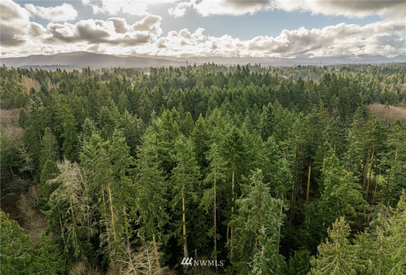 0 Lot 2 Pinnell, Sequim, Washington 98382, ,Land,For Sale,Miller BLA Survey,Lot 2 Pinnell,NWM1876819
