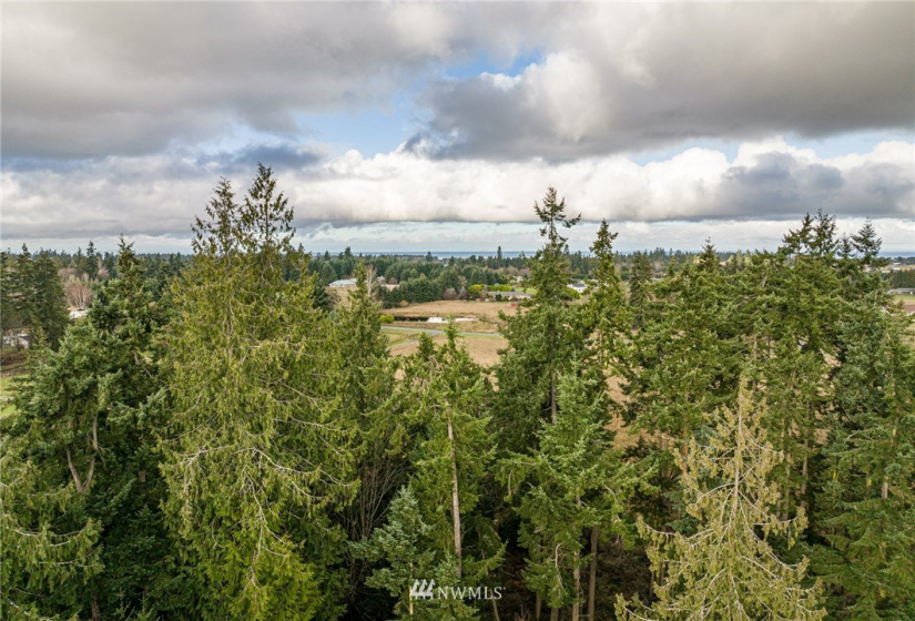 0 Lot 2 Pinnell, Sequim, Washington 98382, ,Land,For Sale,Miller BLA Survey,Lot 2 Pinnell,NWM1876819