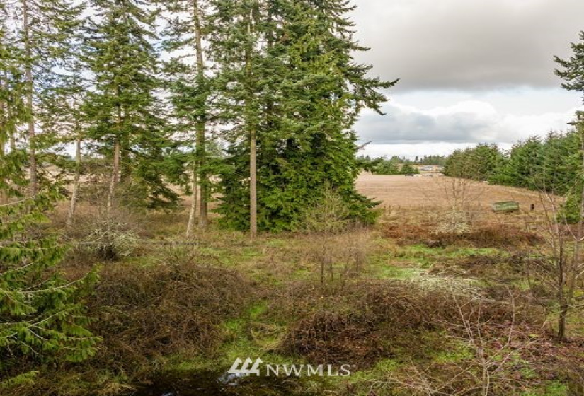 0 Lot 3 Pinnell, Sequim, Washington 98382, ,Land,For Sale,Lot 3 Pinnell,NWM1878758