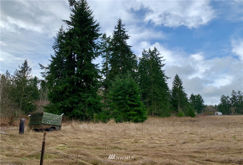 0 Lot 3 Pinnell, Sequim, Washington 98382, ,Land,For Sale,Lot 3 Pinnell,NWM1878758