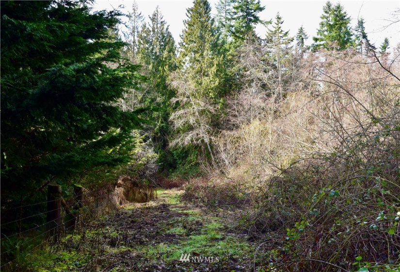 0 Lot 3 Pinnell, Sequim, Washington 98382, ,Land,For Sale,Lot 3 Pinnell,NWM1878758