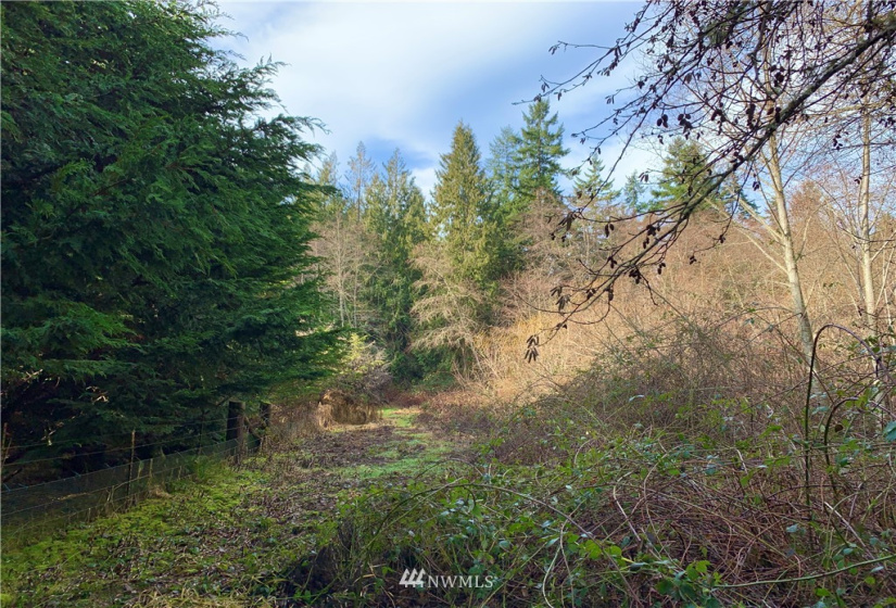 0 Lot 3 Pinnell, Sequim, Washington 98382, ,Land,For Sale,Lot 3 Pinnell,NWM1878758