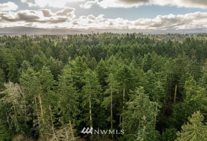 0 Lot 3 Pinnell, Sequim, Washington 98382, ,Land,For Sale,Lot 3 Pinnell,NWM1878758