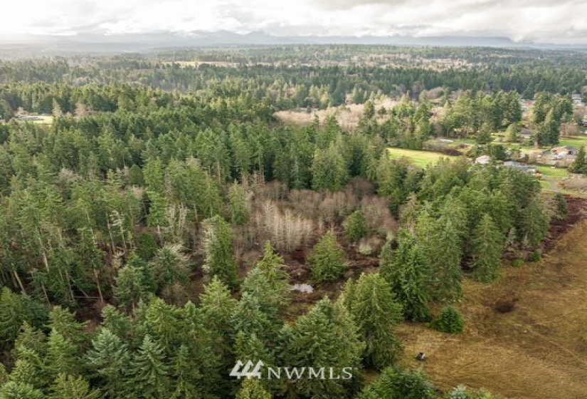 0 Lot 3 Pinnell, Sequim, Washington 98382, ,Land,For Sale,Lot 3 Pinnell,NWM1878758