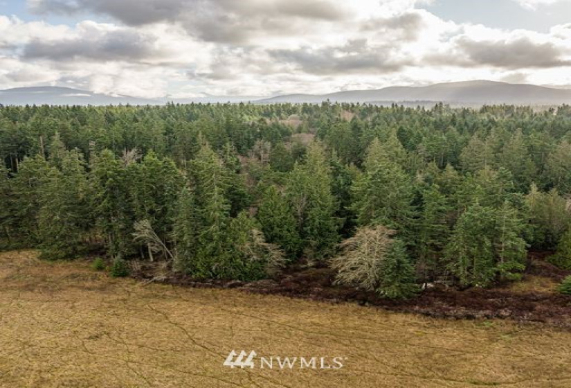 0 Lot 3 Pinnell, Sequim, Washington 98382, ,Land,For Sale,Lot 3 Pinnell,NWM1878758
