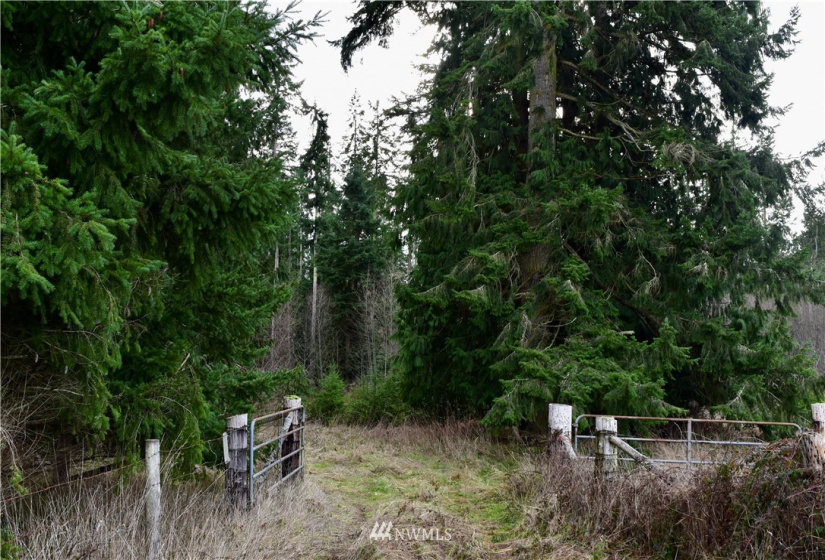 0 Lot 3 Pinnell, Sequim, Washington 98382, ,Land,For Sale,Lot 3 Pinnell,NWM1878758