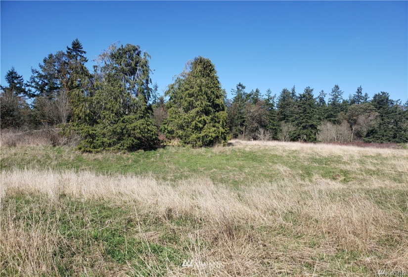 2740 Discovery, Port Townsend, Washington 98368, ,Land,For Sale,Swan Park,Discovery,NWM1883457