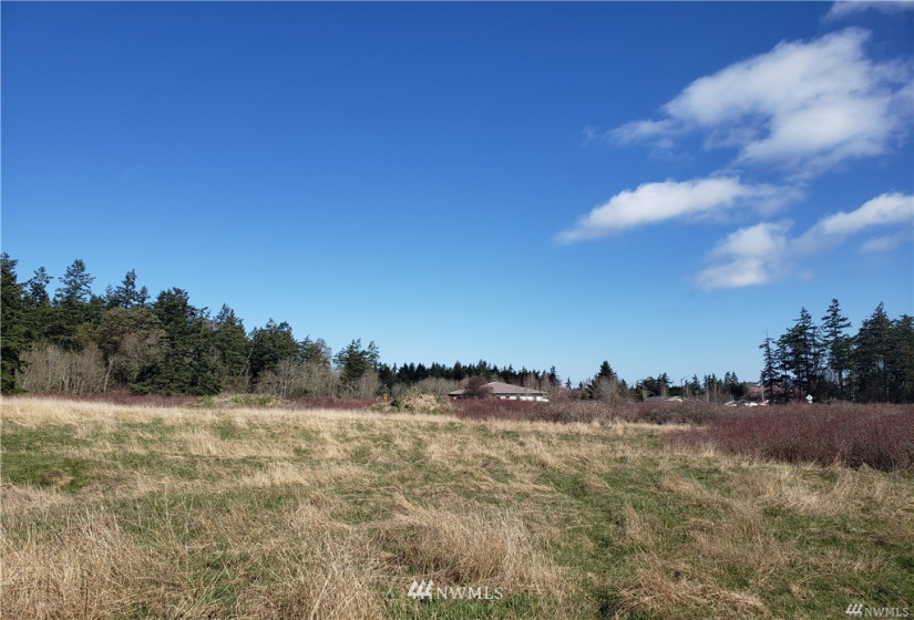 2740 Discovery, Port Townsend, Washington 98368, ,Land,For Sale,Swan Park,Discovery,NWM1883457