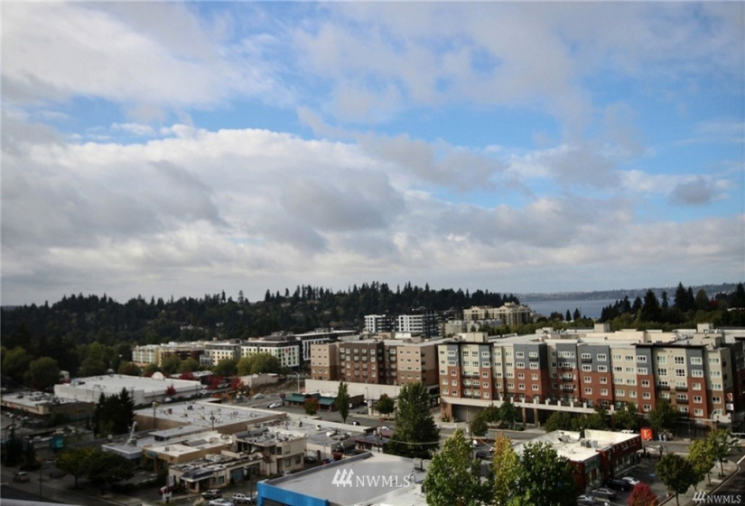10700 4th, Bellevue, Washington 98004, 2 Bedrooms Bedrooms, ,2 BathroomsBathrooms,Residential Lease,For Rent,Bellevue Towers South,4th,NWM1883676