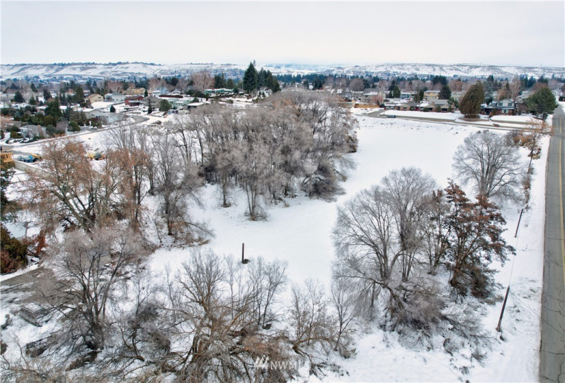 1301 Arbor, East Wenatchee, Washington 98802, ,Land,For Sale,Arbor,NWM1882028