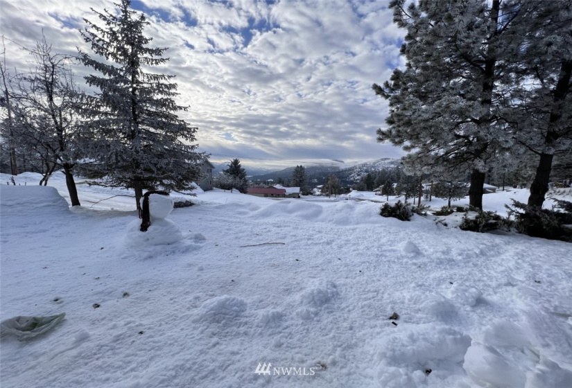 1009 Fir, Republic, Washington 99166, 3 Bedrooms Bedrooms, ,2 BathroomsBathrooms,Residential,For Sale,REPLAT OF CONLANS ADDITION,Fir,NWM1882168