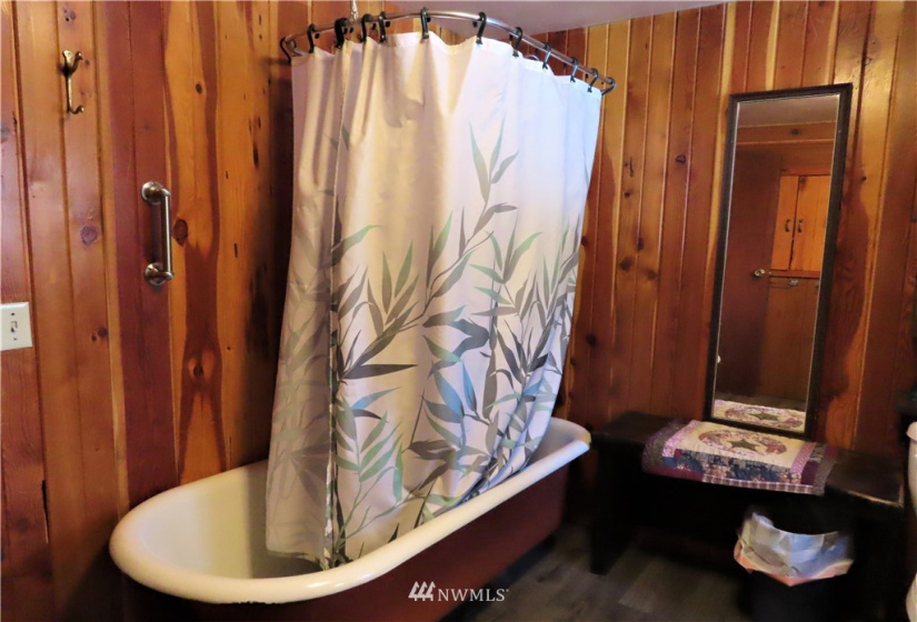 29 Green, Republic, Washington 99166, 3 Bedrooms Bedrooms, ,1 BathroomBathrooms,Residential,For Sale,Green,NWM1883813