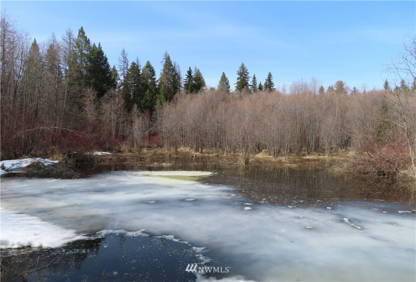 29 Green, Republic, Washington 99166, 3 Bedrooms Bedrooms, ,1 BathroomBathrooms,Residential,For Sale,Green,NWM1883813