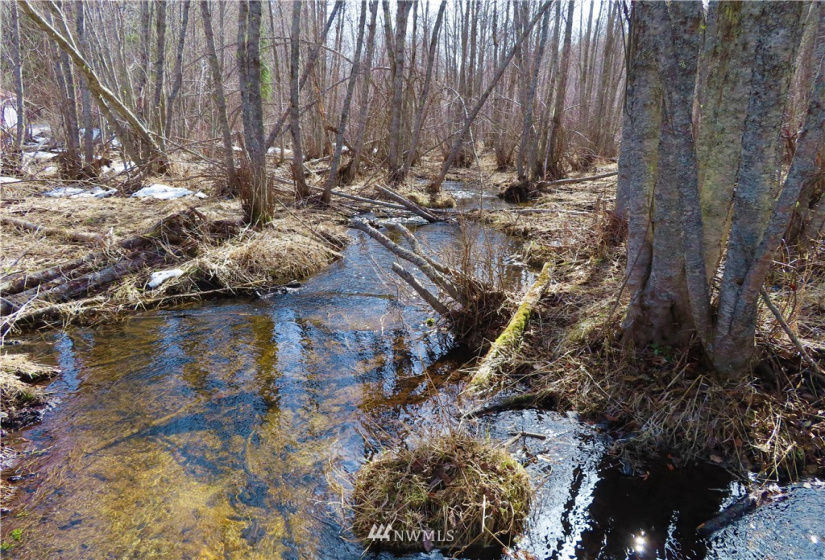 29 Green, Republic, Washington 99166, 3 Bedrooms Bedrooms, ,1 BathroomBathrooms,Residential,For Sale,Green,NWM1883813