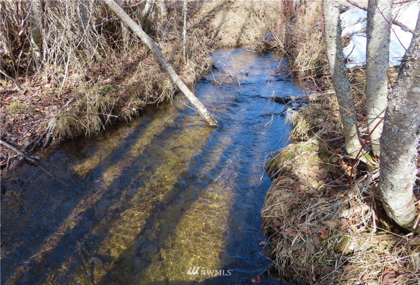 29 Green, Republic, Washington 99166, 3 Bedrooms Bedrooms, ,1 BathroomBathrooms,Residential,For Sale,Green,NWM1883813