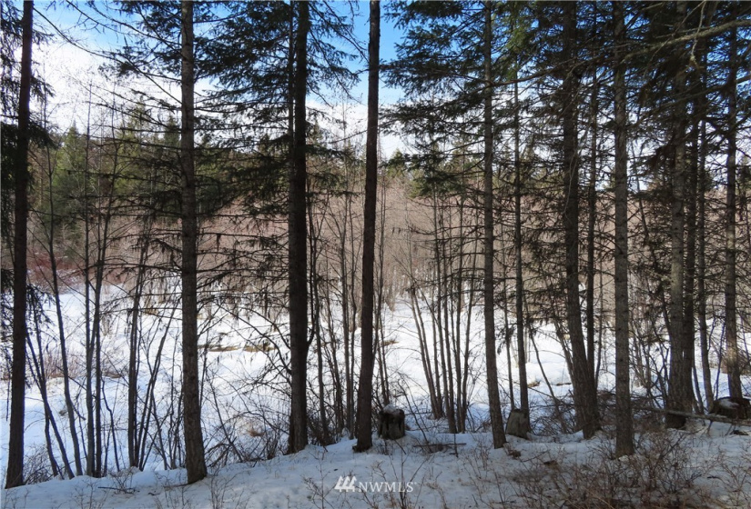 29 Green, Republic, Washington 99166, 3 Bedrooms Bedrooms, ,1 BathroomBathrooms,Residential,For Sale,Green,NWM1883813