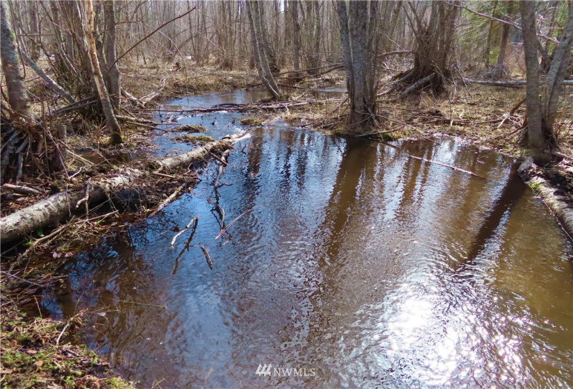 29 Green, Republic, Washington 99166, 3 Bedrooms Bedrooms, ,1 BathroomBathrooms,Residential,For Sale,Green,NWM1883813