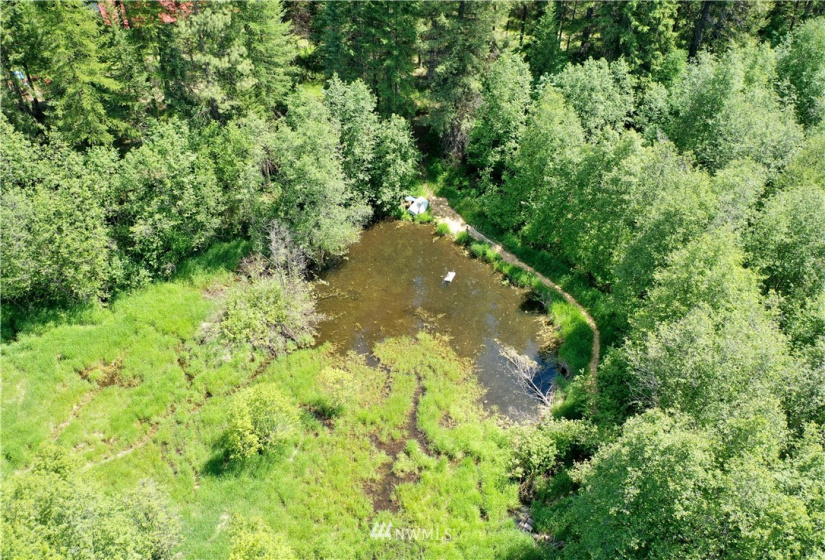 29 Green, Republic, Washington 99166, 3 Bedrooms Bedrooms, ,1 BathroomBathrooms,Residential,For Sale,Green,NWM1883813