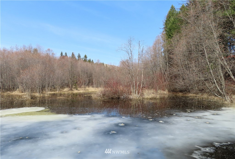 29 Green, Republic, Washington 99166, 3 Bedrooms Bedrooms, ,1 BathroomBathrooms,Residential,For Sale,Green,NWM1883813