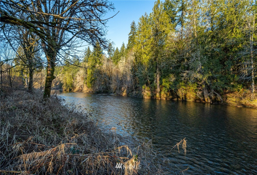 322 River, Chehalis, Washington 98532, 3 Bedrooms Bedrooms, ,2 BathroomsBathrooms,Residential,For Sale,River,NWM1883805